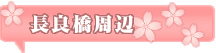 岐阜市 大宮台～鏡岩 長良橋より上流への左岸堤防